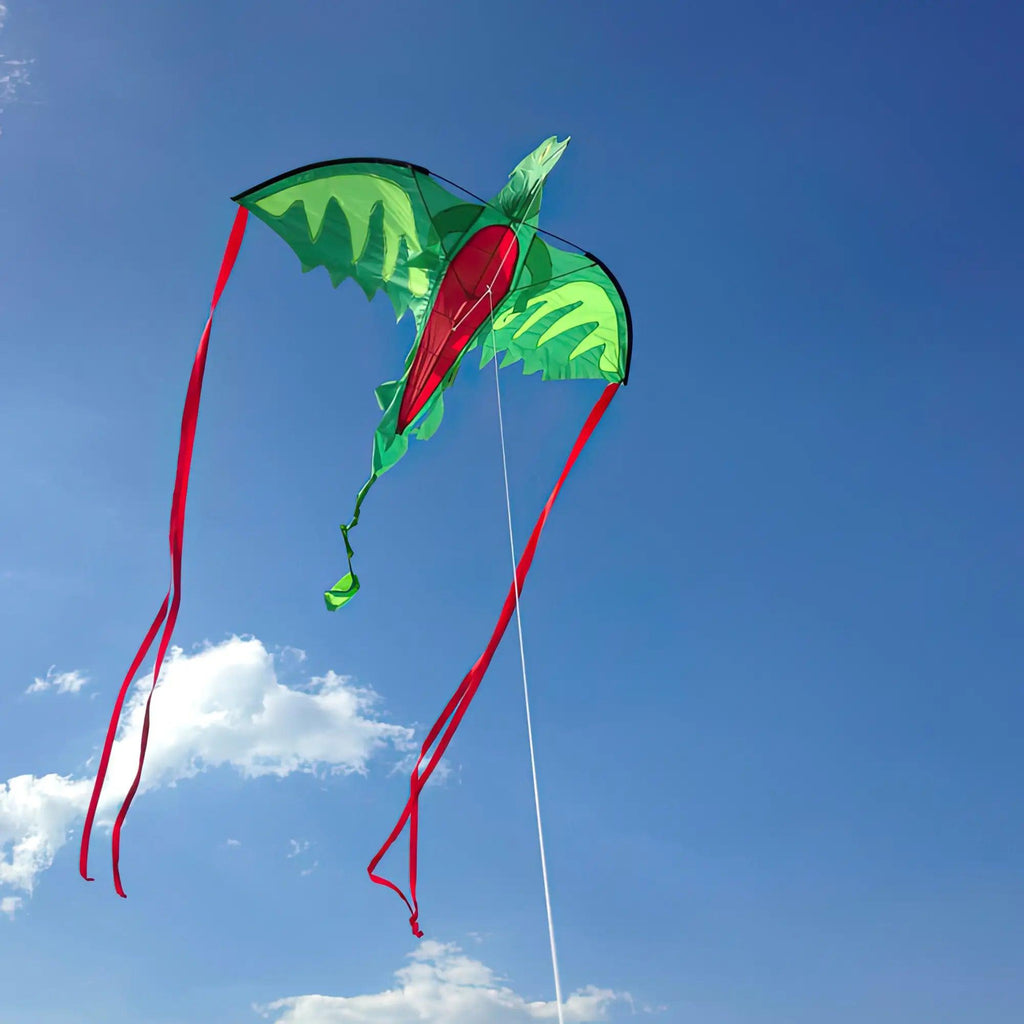 Melissa & Doug 40217 Winged Dragon-Shaped Kite - TOYBOX Toy Shop