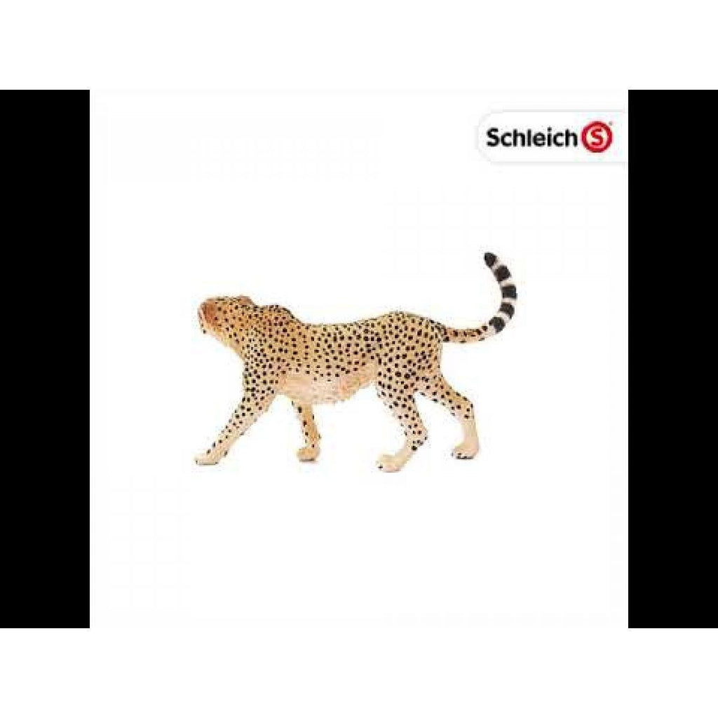 Schleich 14746 Cheetah Female Figure - TOYBOX Toy Shop