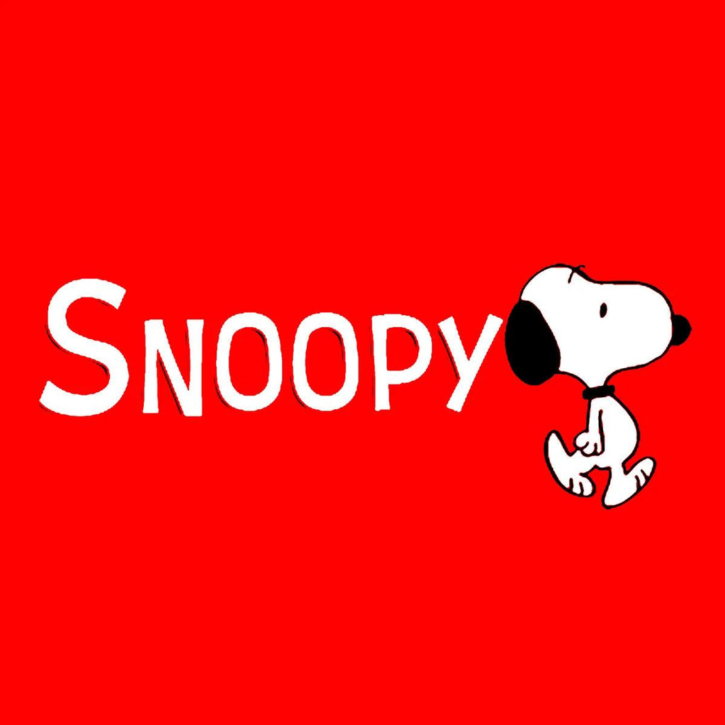 Snoopy - TOYBOX