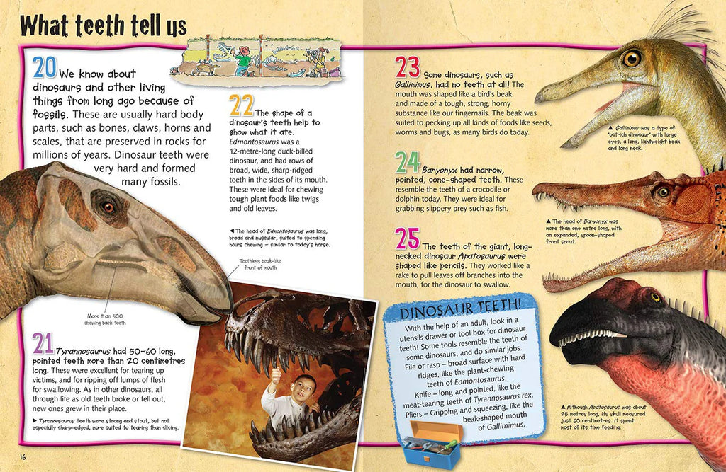 100 Facts Dinosaurs - Paperback Book - TOYBOX Toy Shop