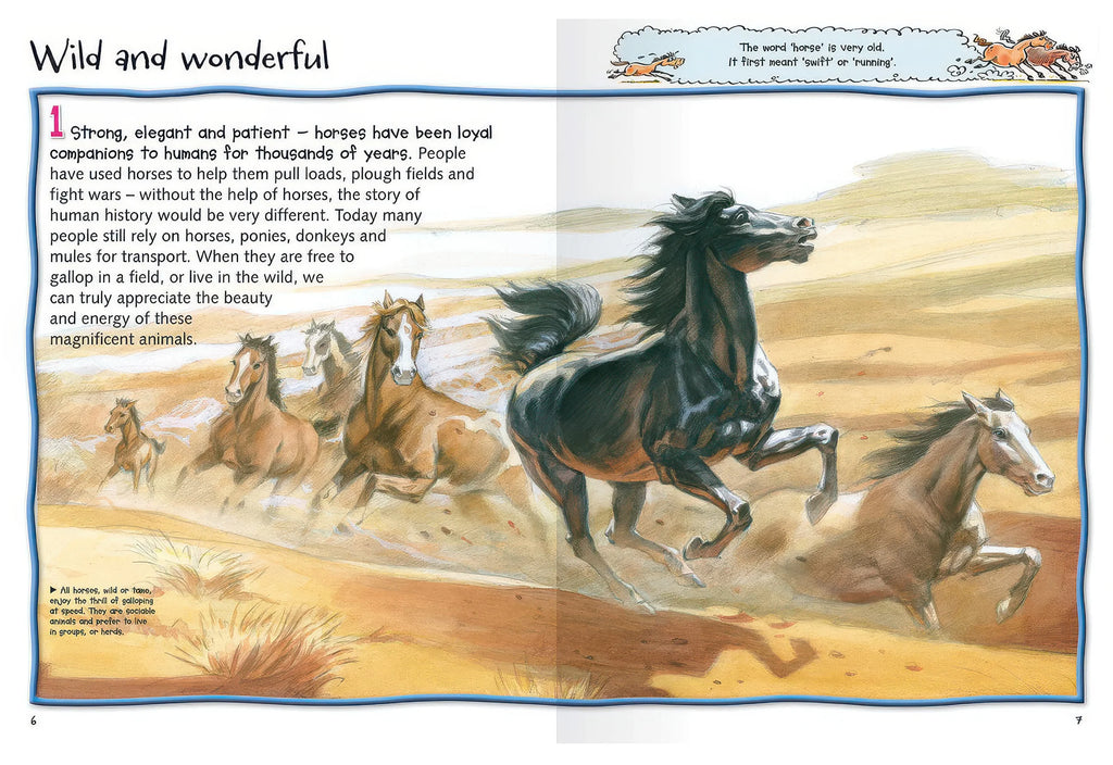 100 Facts Horses & Ponies Softback Book - TOYBOX Toy Shop