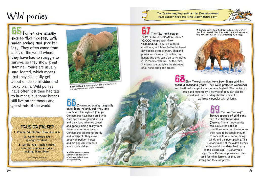 100 Facts Horses & Ponies Softback Book - TOYBOX Toy Shop