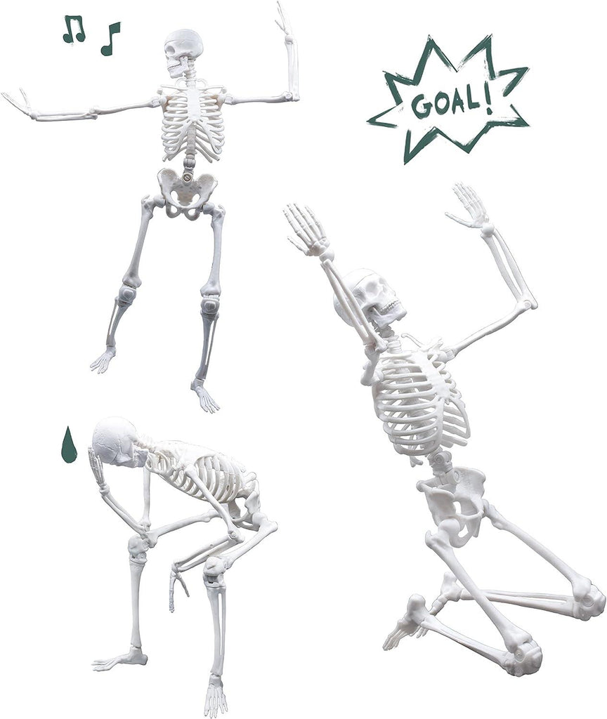 BUKI France Educational Skeleton 45cm - TOYBOX Toy Shop