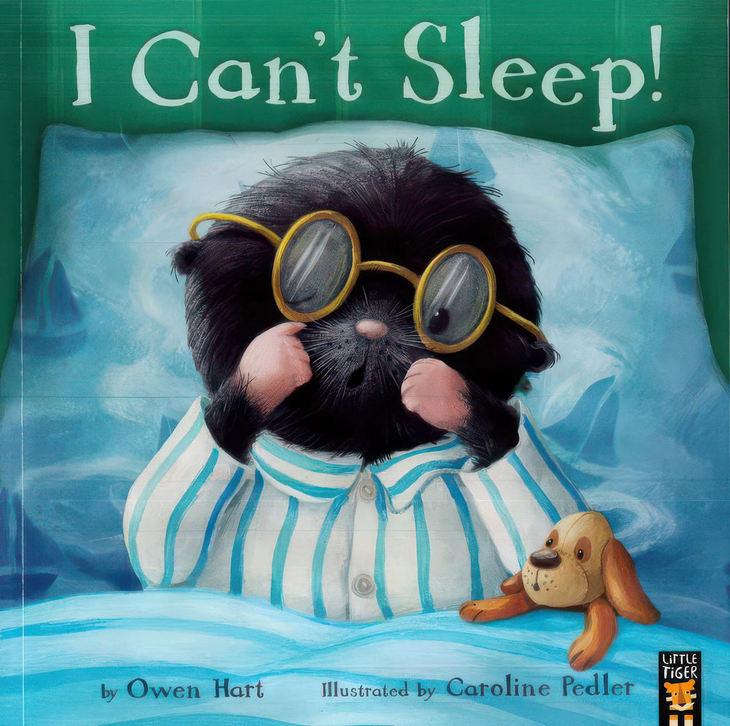 My First Bedtime Children's Library Picture Book Assortment