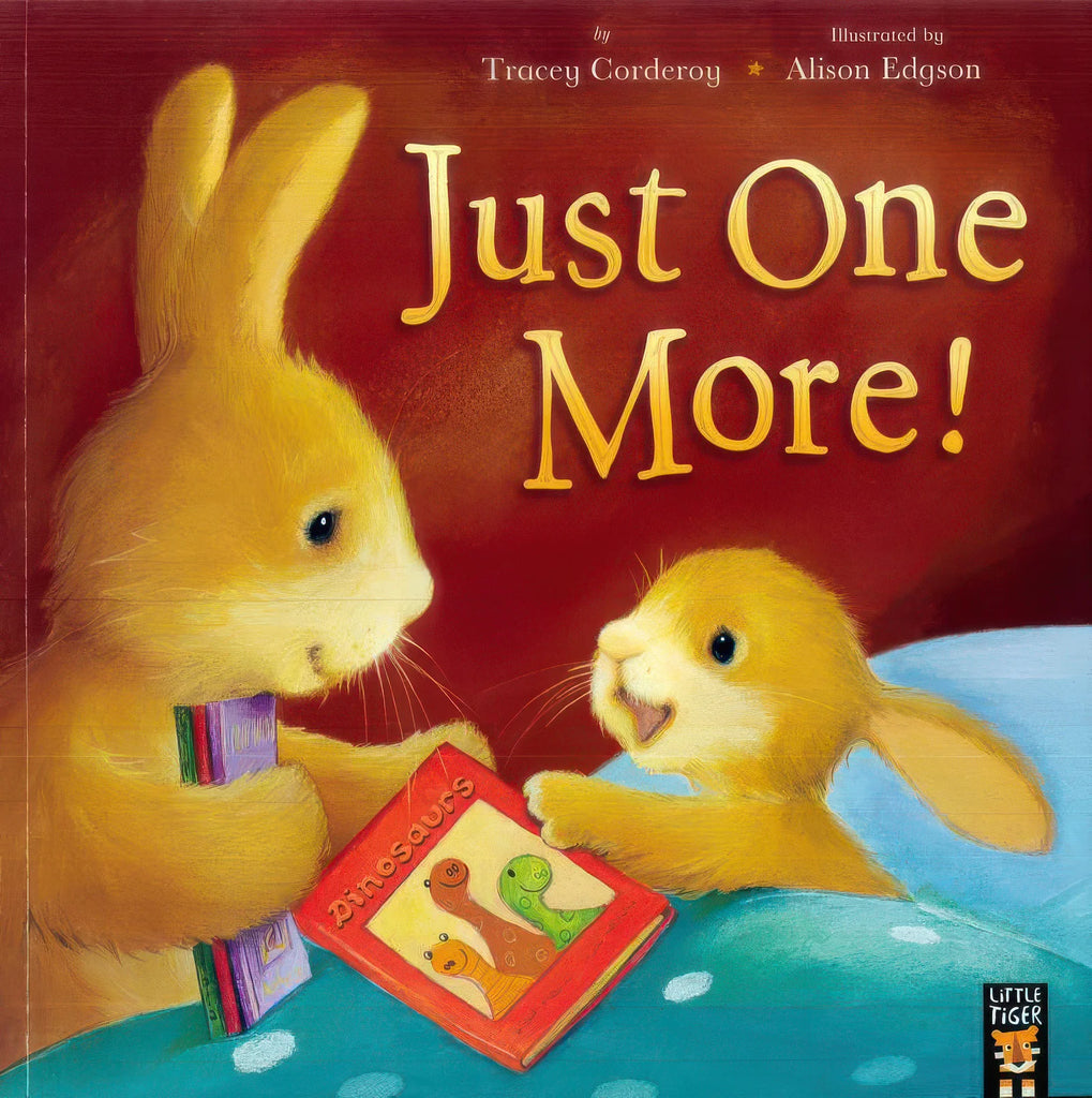 My First Bedtime Children's Library Picture Book Assortment