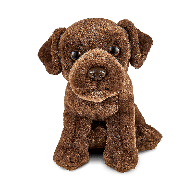 LIVING NATURE Chocolate Labrador Puppy Soft Toy 15cm - TOYBOX Toy Shop