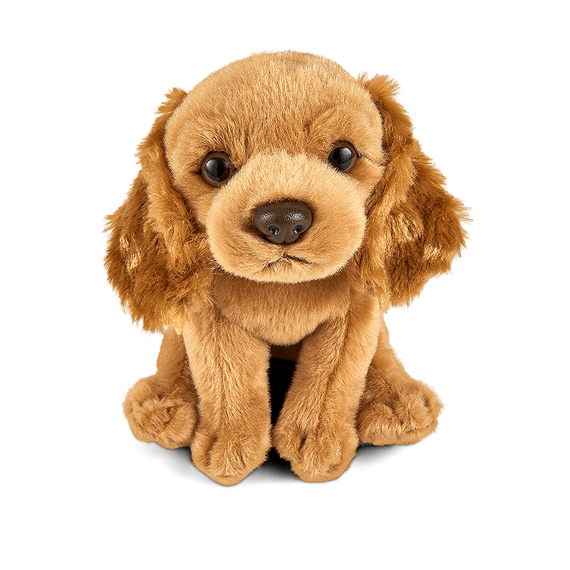 LIVING NATURE Cocker Spaniel Puppy Soft Toy 15cm - TOYBOX Toy Shop