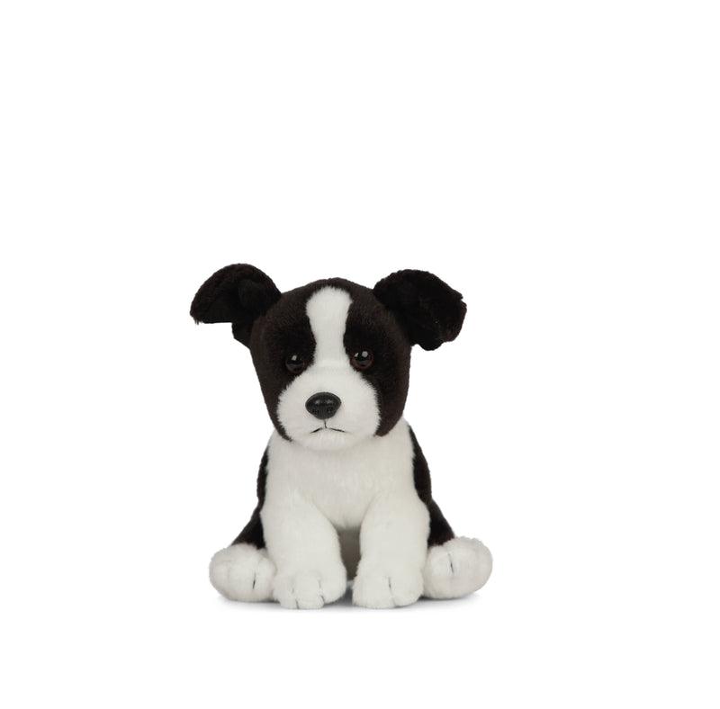 LIVING NATURE Border Collie Soft Toy 17cm - TOYBOX Toy Shop