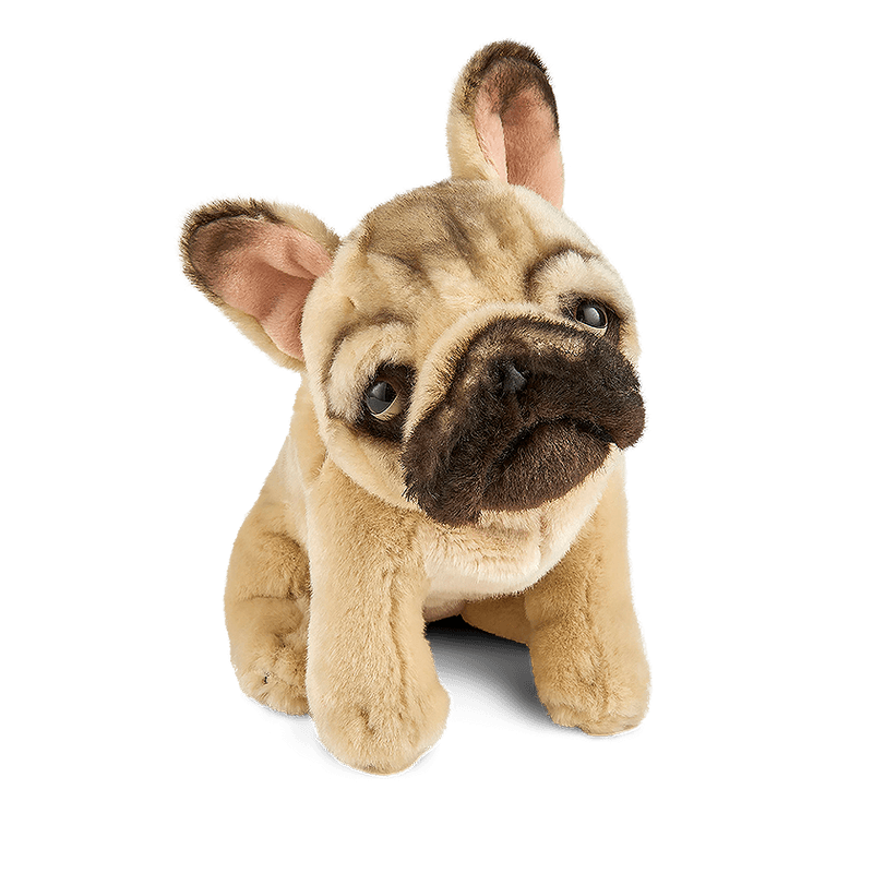 LIVING NATURE Sitting French Bulldog Soft Toy 21cm – TOYBOX