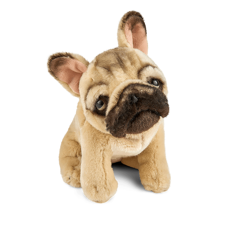 LIVING NATURE Sitting French Bulldog Soft Toy 21cm - TOYBOX Toy Shop