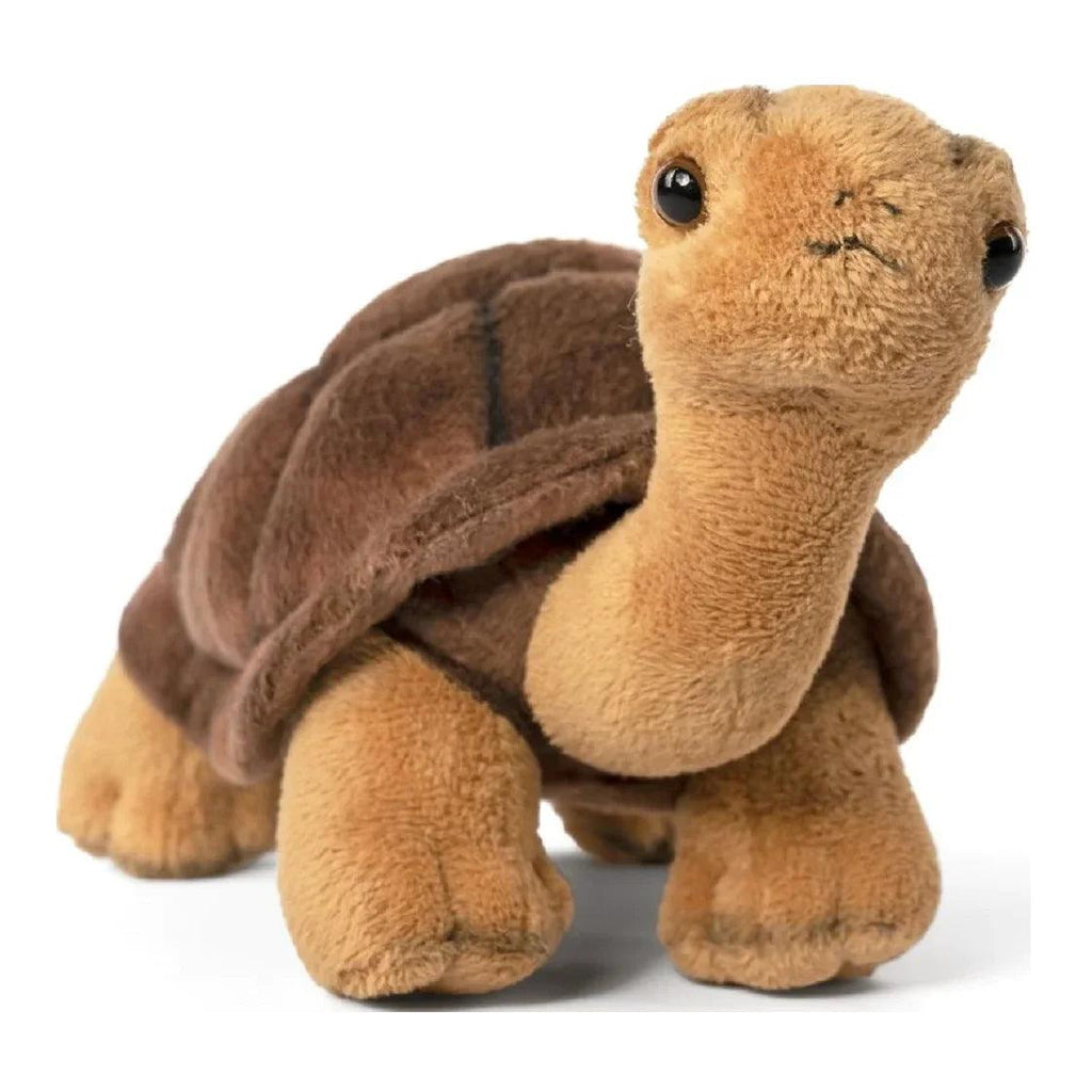 LIVING NATURE Tortoise Soft Toy 23cm - TOYBOX Toy Shop