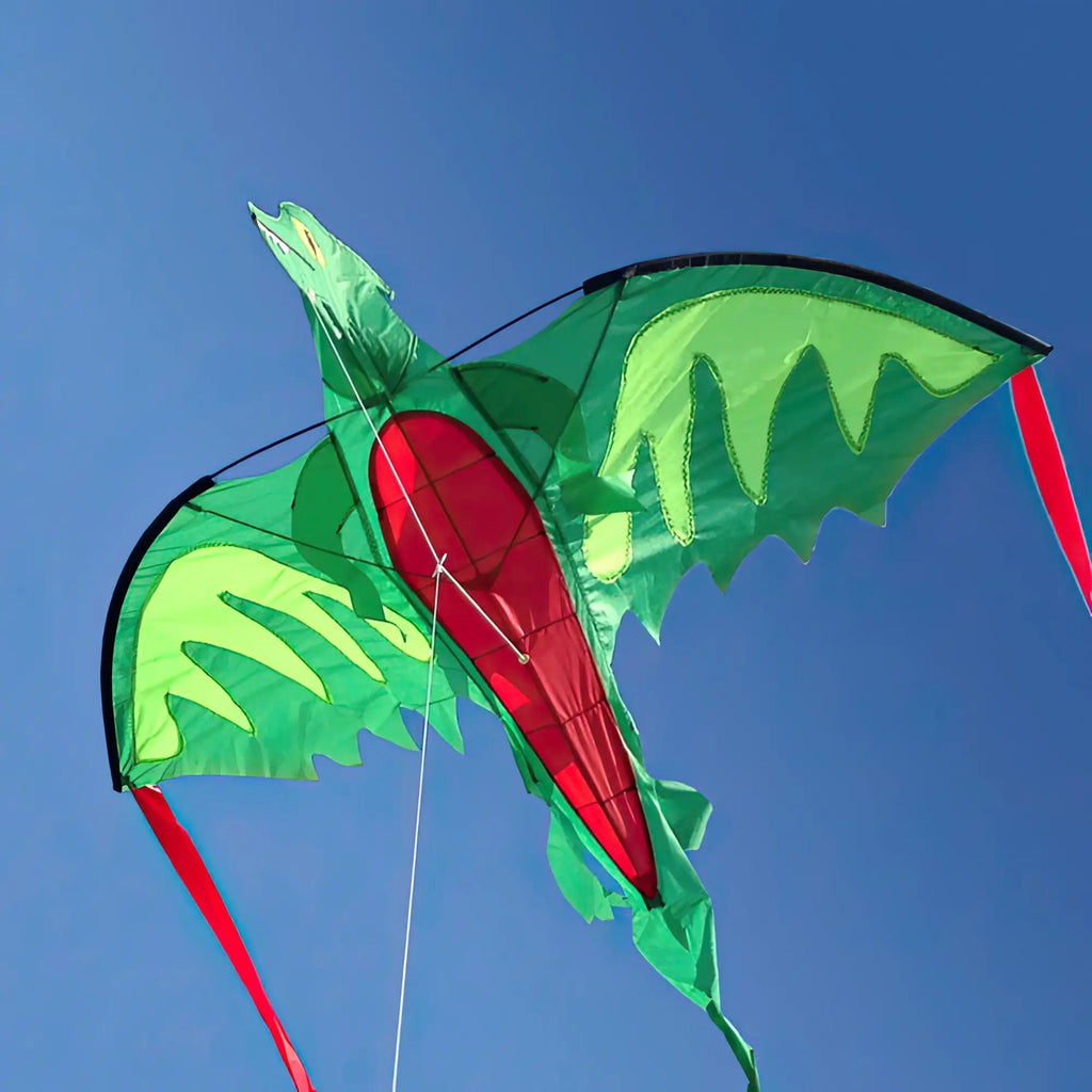 Melissa & Doug 40217 Winged Dragon-Shaped Kite - TOYBOX Toy Shop