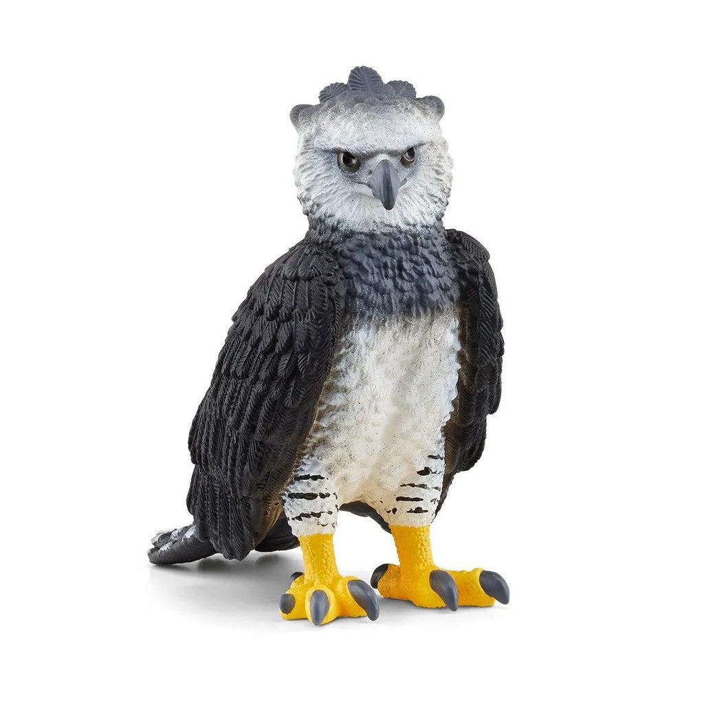 SCHLEICH 14862 Harpy Eagle Figure - TOYBOX Toy Shop