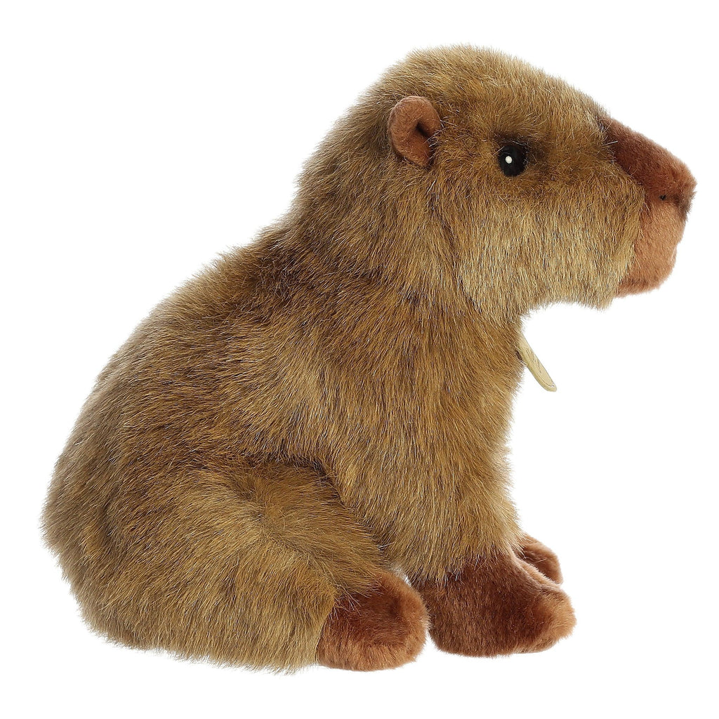 AURORA 26385 Miyoni - 23cm Capybara Plush - TOYBOX Toy Shop