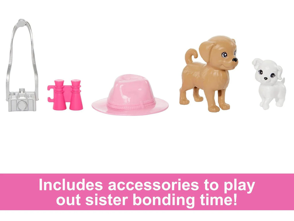 Barbie &amp; Stacie Doll Set with 2 Pet Dogs & Accessories - TOYBOX Toy Shop
