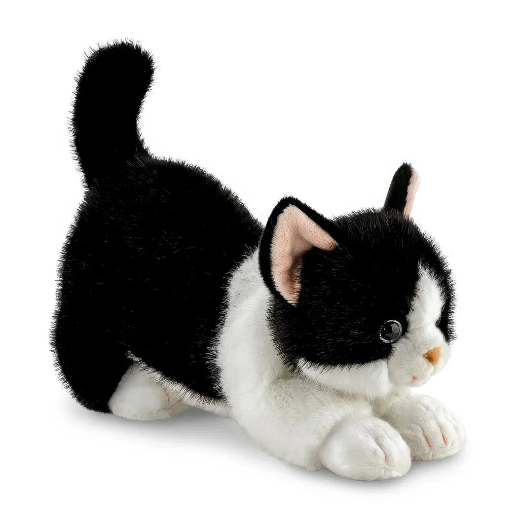 Borealis Domino Tuxedo Cat 30cm Soft Toy