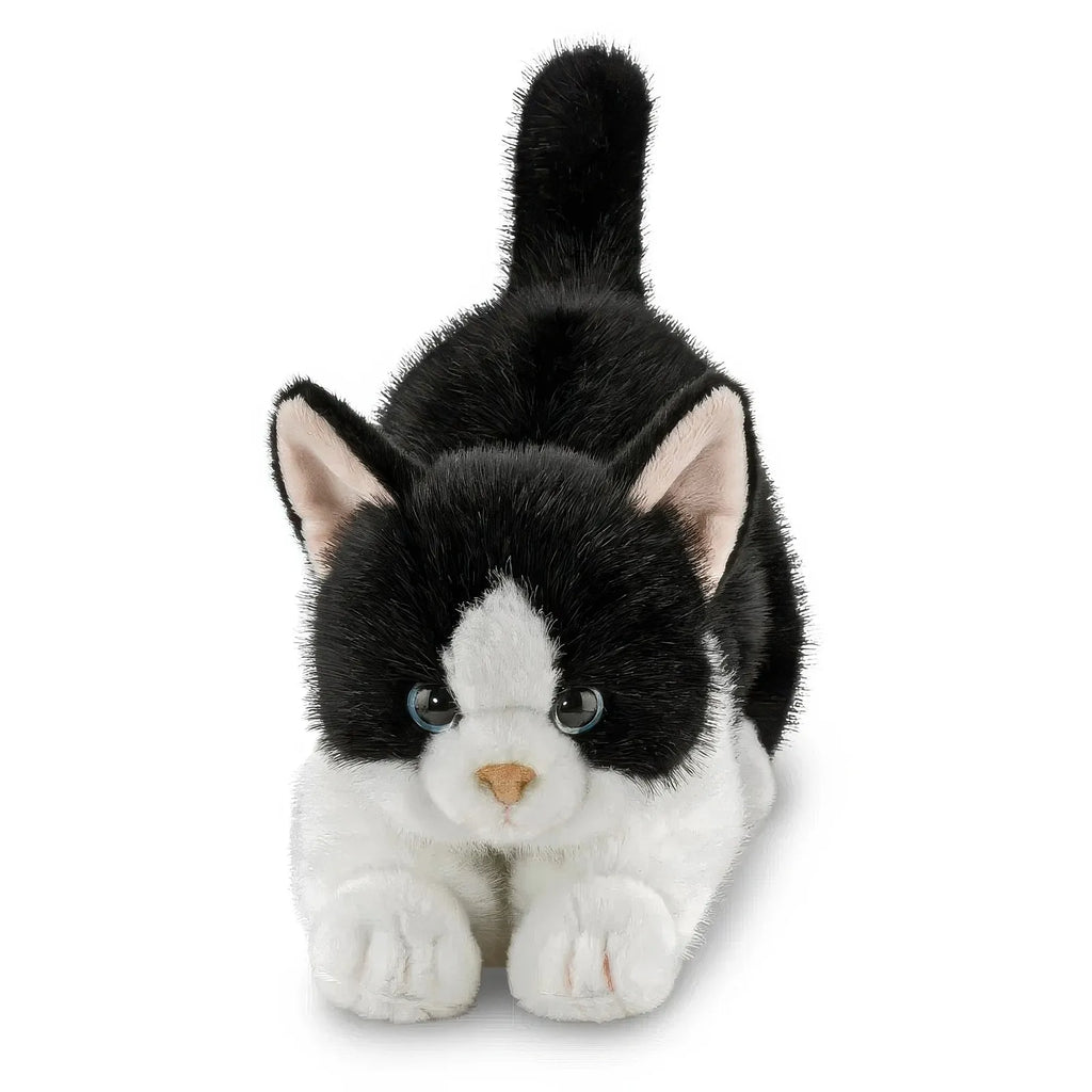 Borealis Domino Tuxedo Cat 30cm Soft Toy
