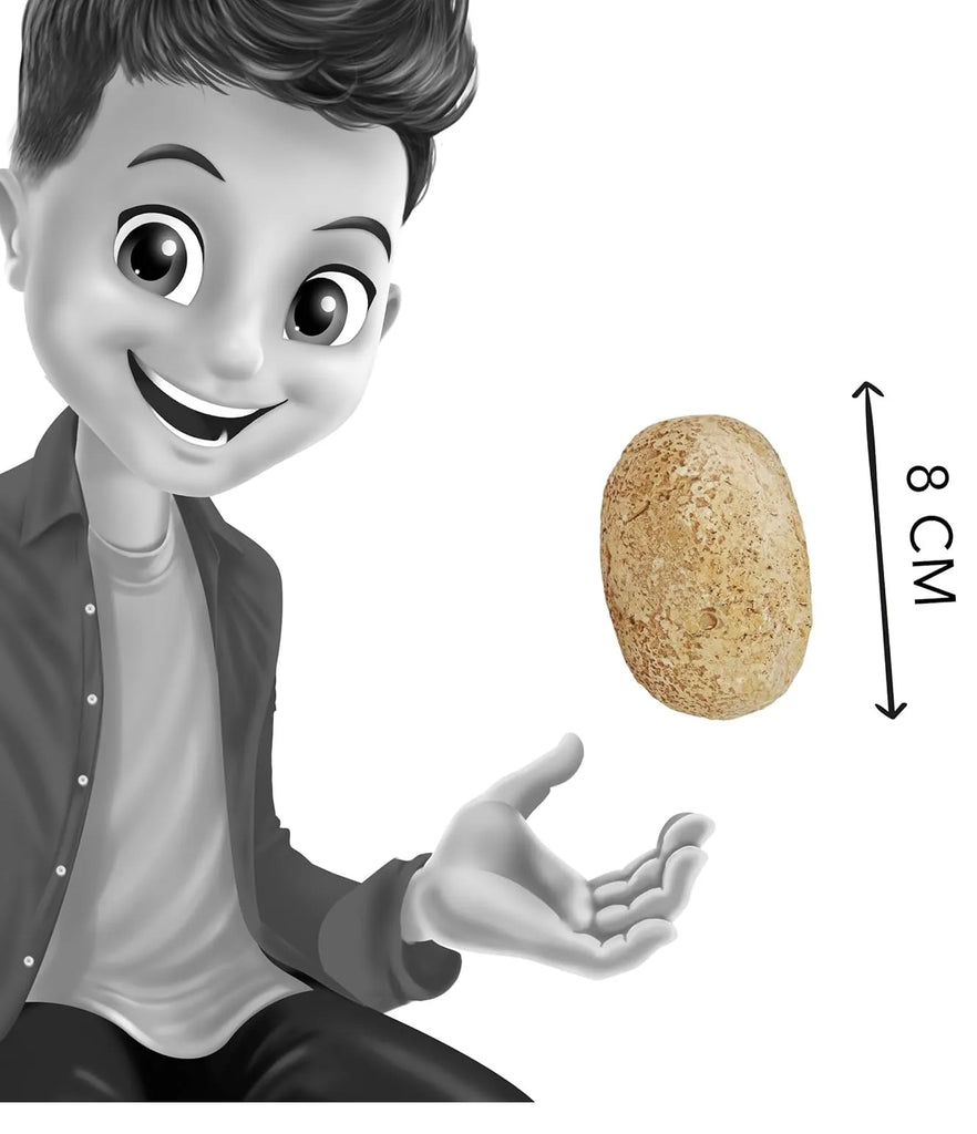 BUKI Dino Eggs - Assorted