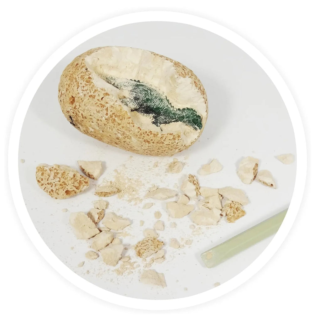 BUKI Dino Eggs - Assorted