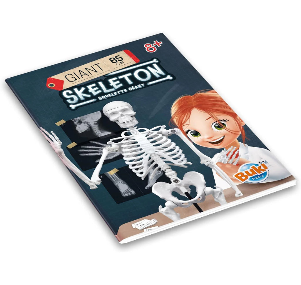 BUKI France Educational Skeleton 80cm - TOYBOX Toy Shop