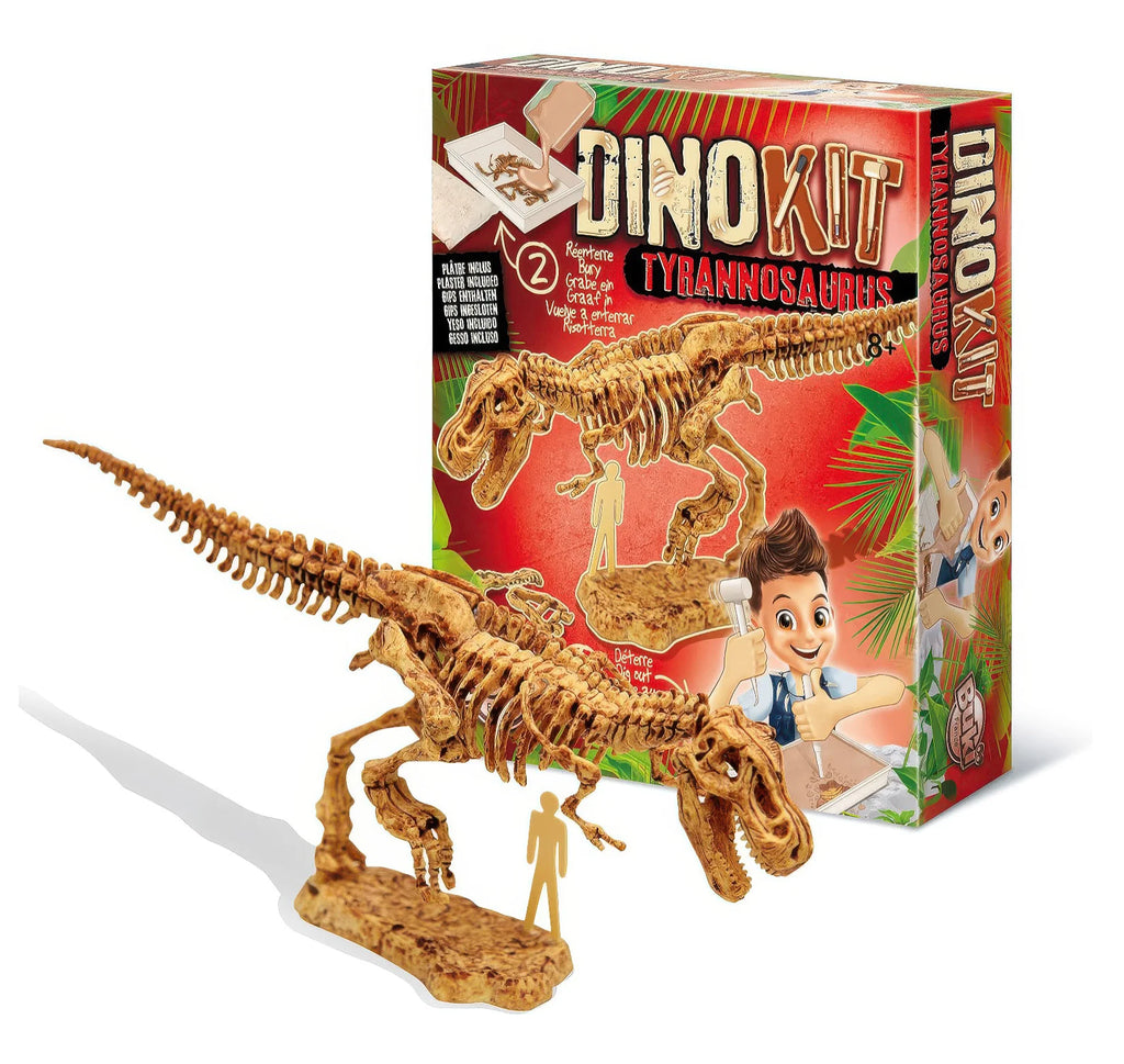 BUKI France Dino Kit Tyrannosaurus Dinosaur Fossil Set - TOYBOX Toy Shop