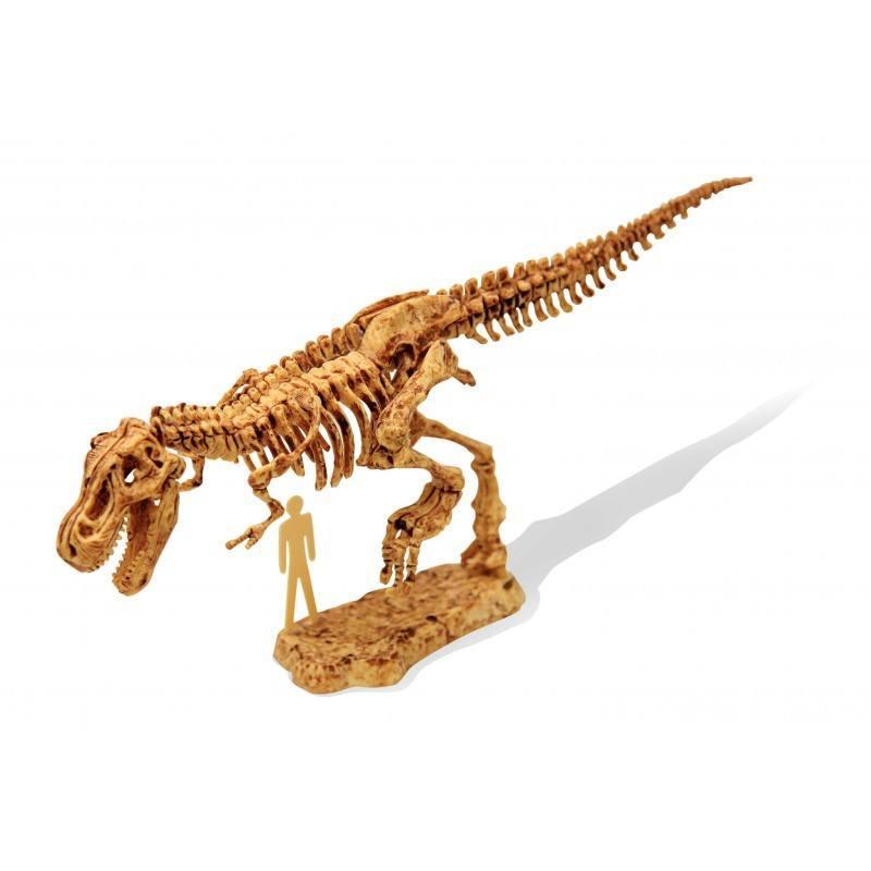 BUKI France Dino Kit - Tyrannosaurus - TOYBOX Toy Shop