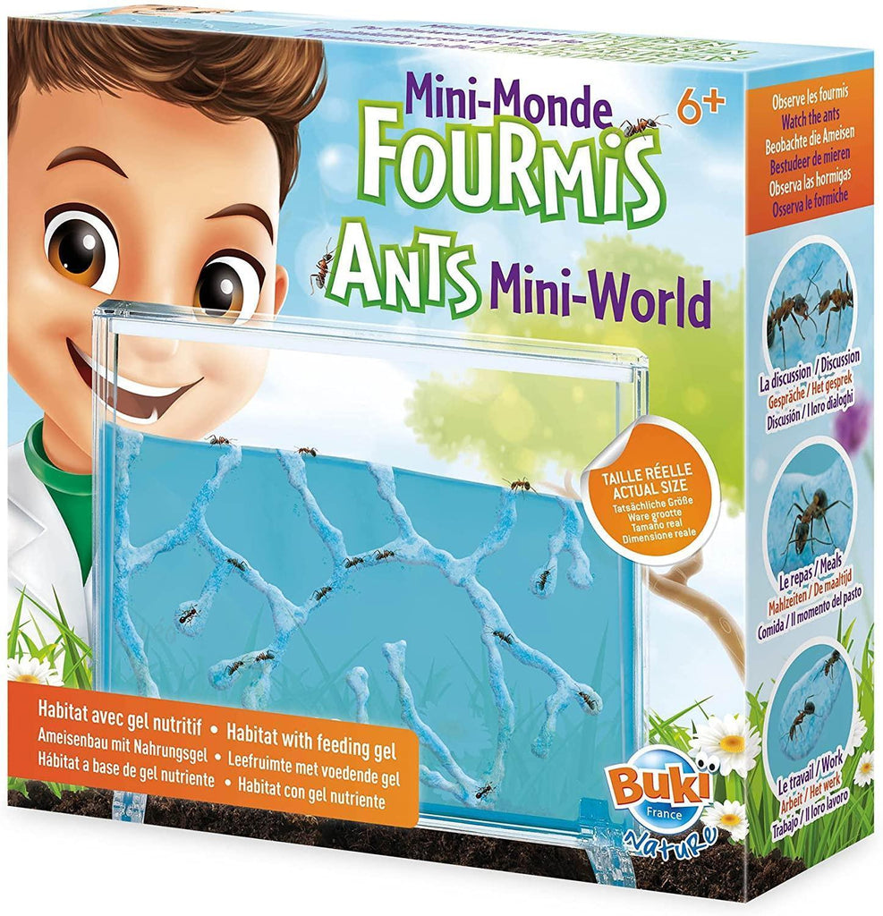 BUKI France Nature Ants Mini-World - TOYBOX Toy Shop