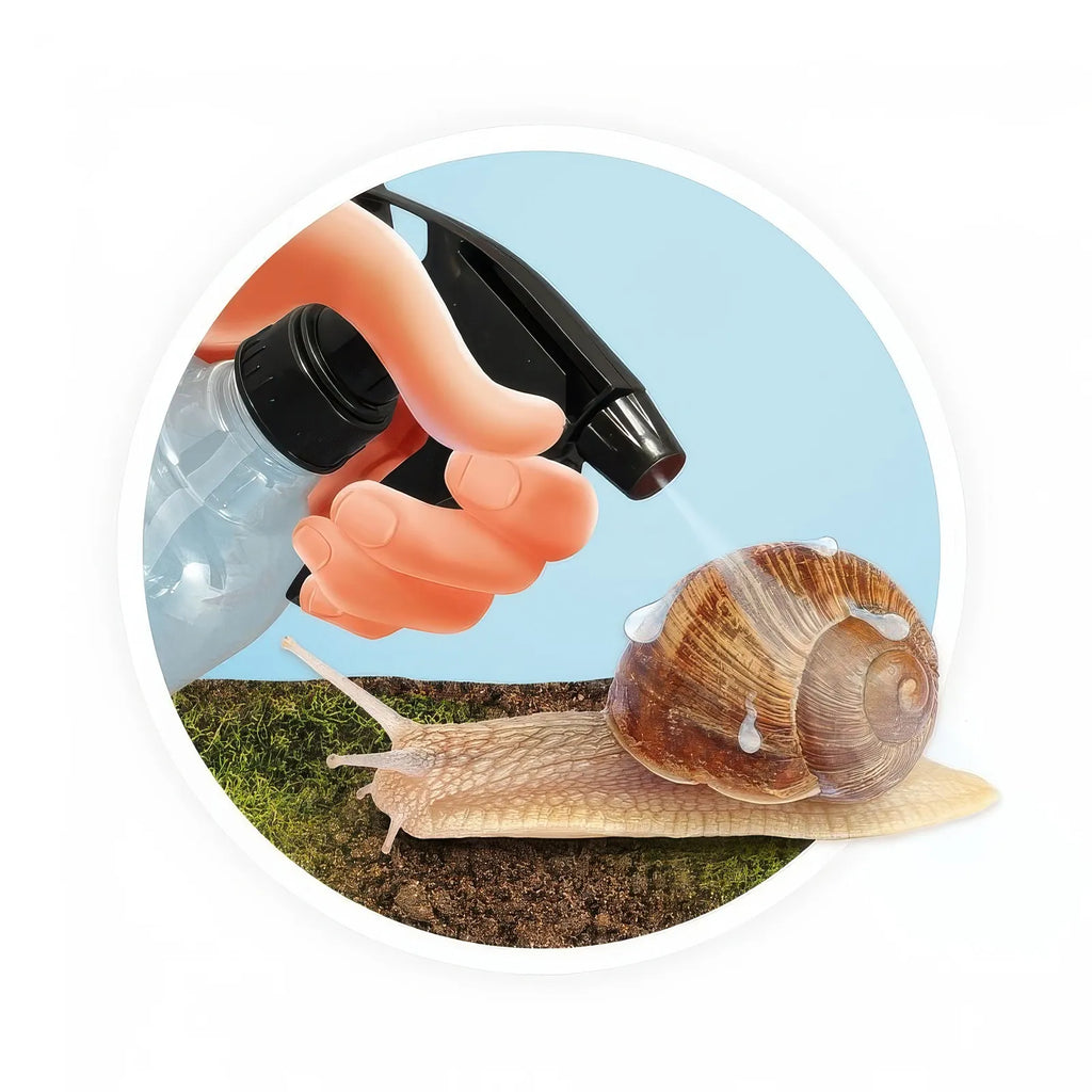 BUKI France Snail House