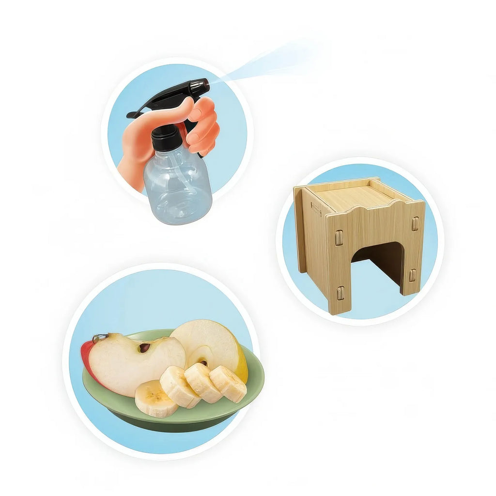 BUKI France Snail House