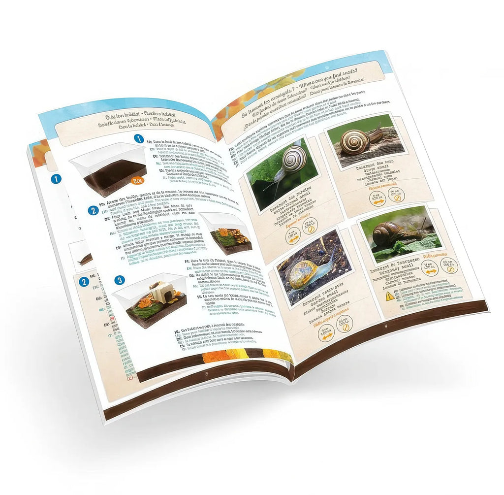 BUKI France Snail House