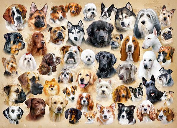 Castorland 200 Piece Jigsaw Puzzle - Collage with Dogs - TOYBOX Toy Shop