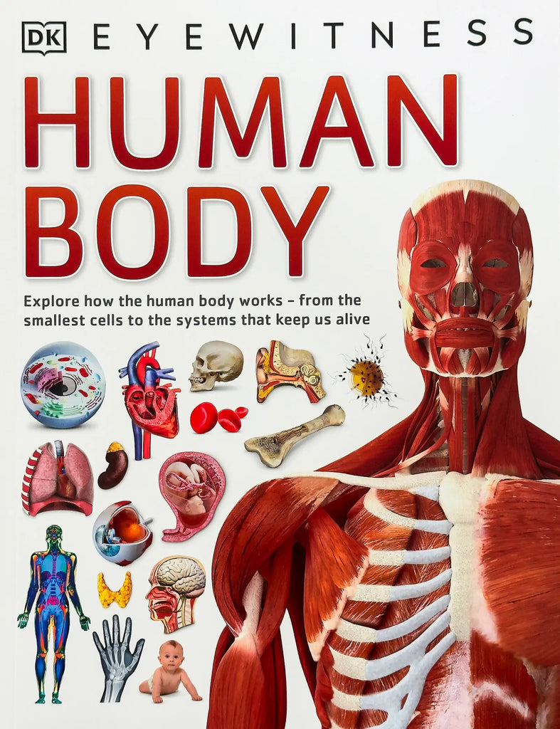 DK Eyewitness Human Body Softback Book