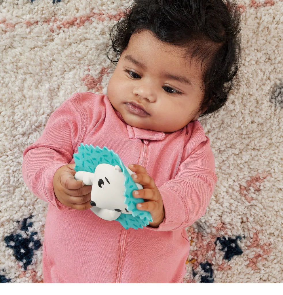 Fisher-Price Hold & Jingle Hedgehog Teether