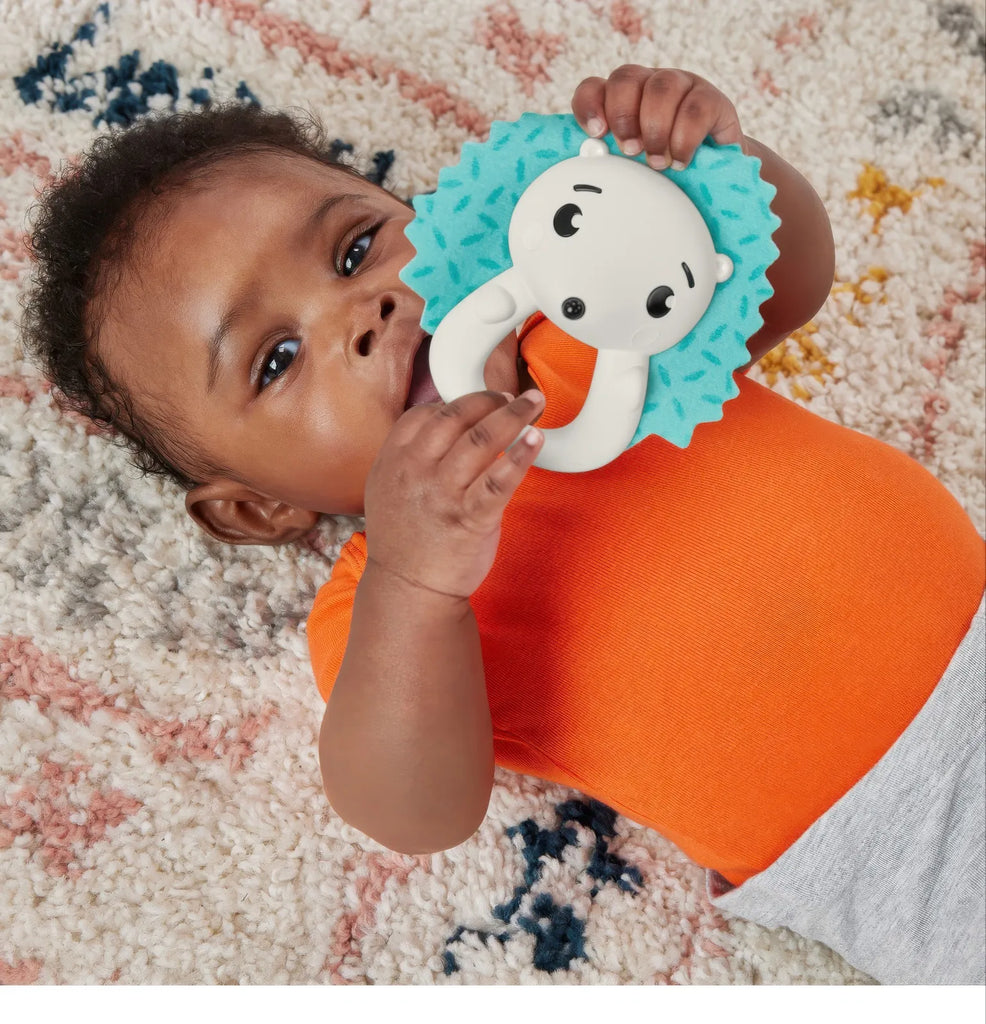 Fisher-Price Hold & Jingle Hedgehog Teether