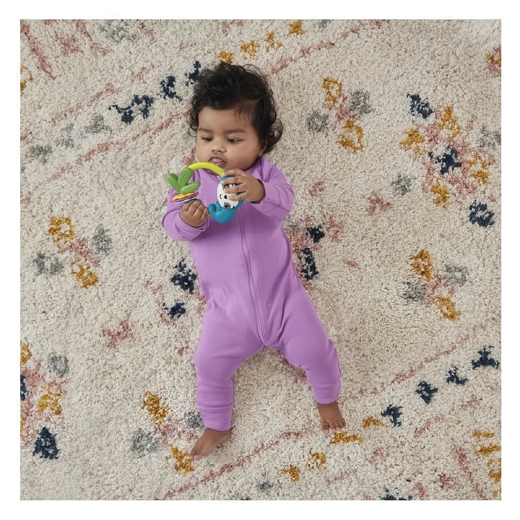 Fisher-Price Slide & Clack Sloth Rattle