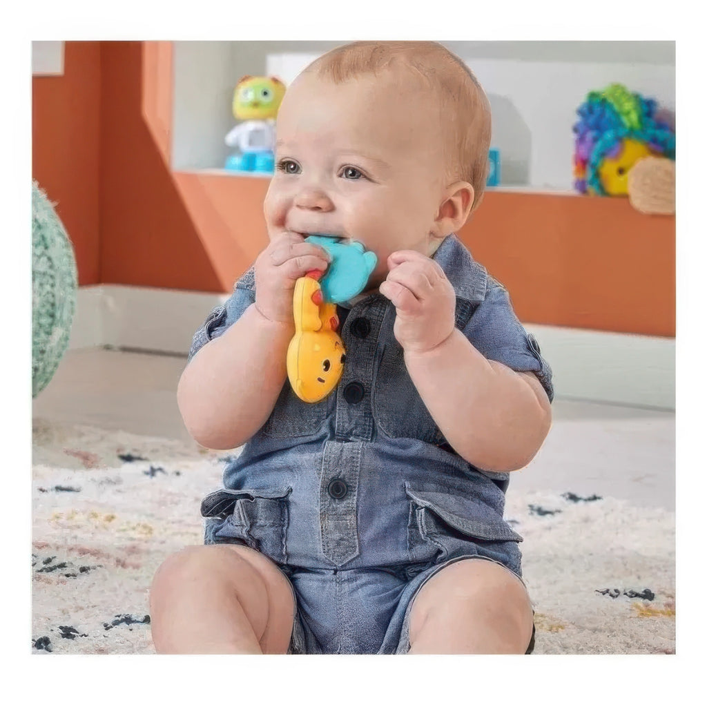 Fisher-Price Teething Time Otter Sensory Teether