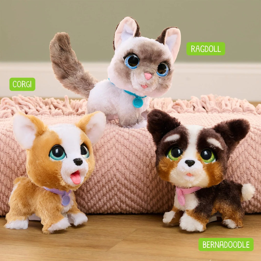 Furreal Wag-a-Lots Kitty Interactive 8-inch Walking Plush Cat - TOYBOX Toy Shop