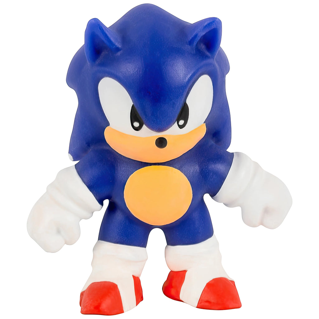 Heroes of Goo Jit Zu SonicMini Figure Assortment