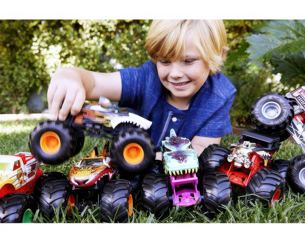Hot Wheels Monster Trucks 1:24 Assorted