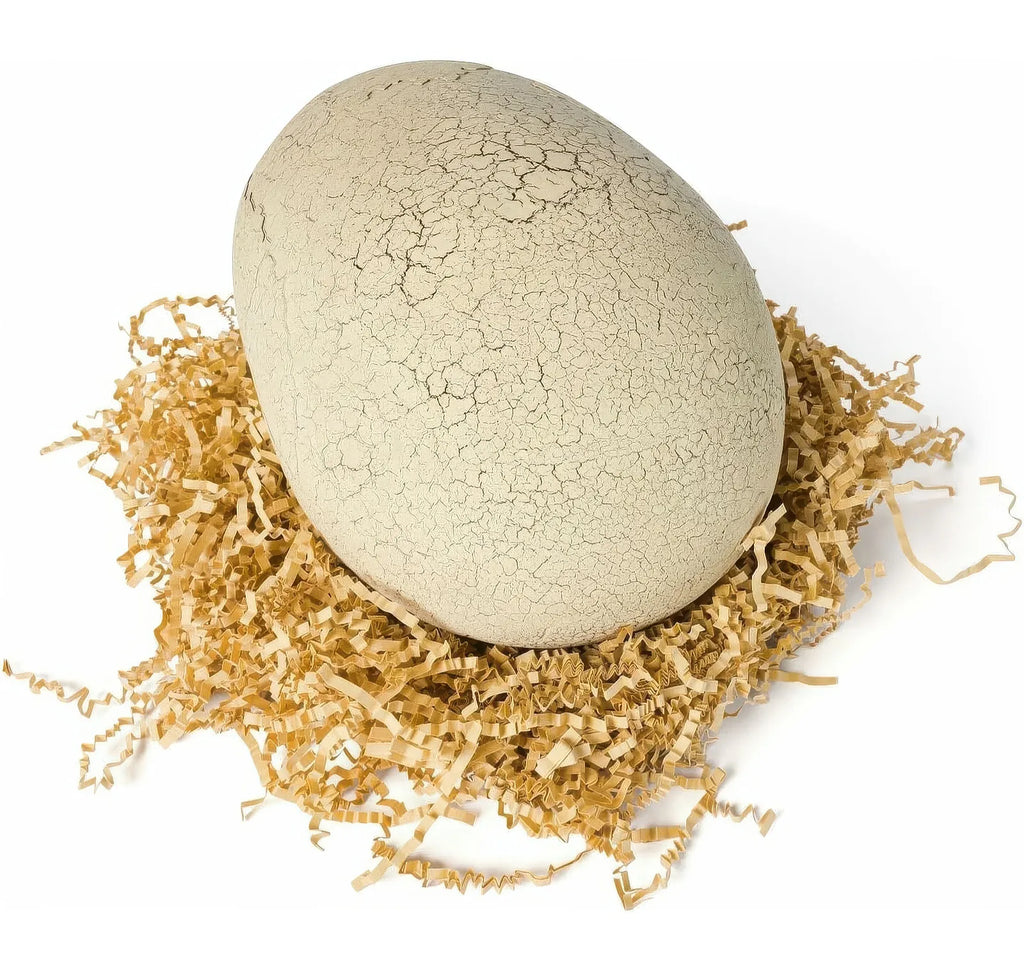 Jurassic World Interactive Toy Dinosaur & Egg