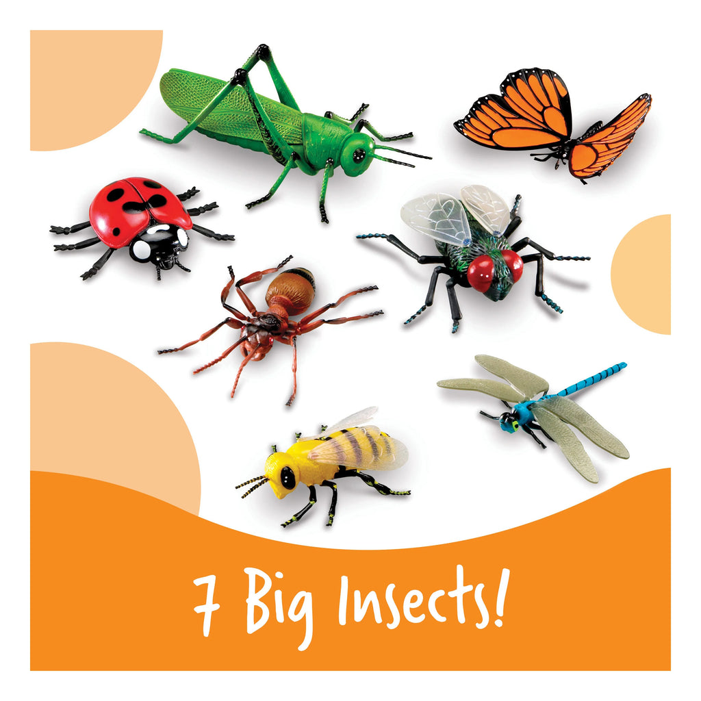 Learning Resources Jumbo Insects - TOYBOX Toy Shop