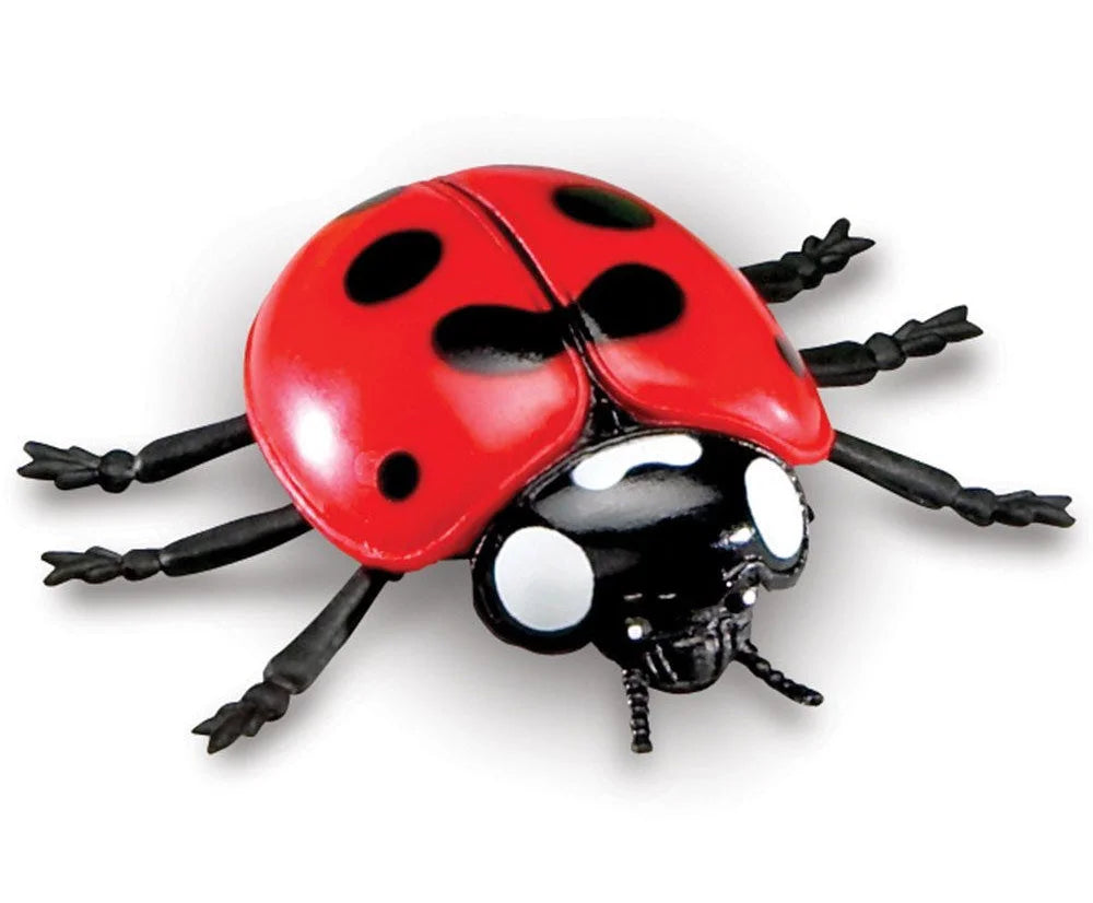 Learning Resources Jumbo Insects - TOYBOX Toy Shop