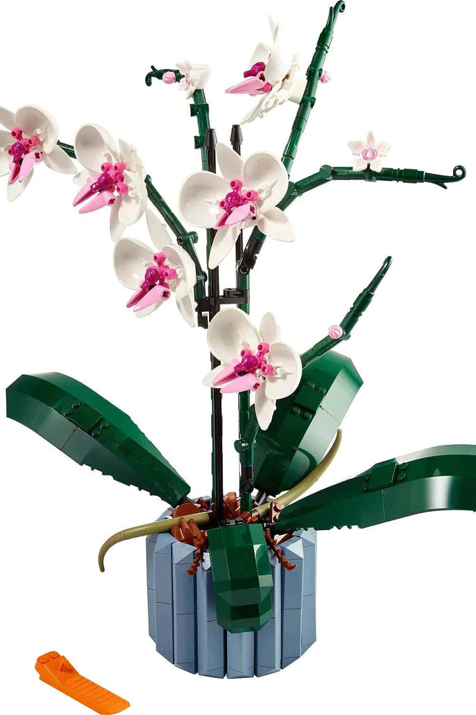 LEGO 10311 Orchid Plant Decor Building Set for Adults - TOYBOX Toy Shop