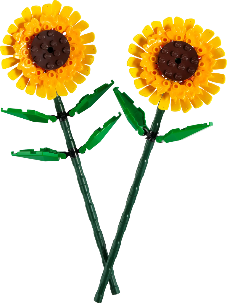 LEGO 40524 Sunflowers Building Toy - TOYBOX Toy Shop