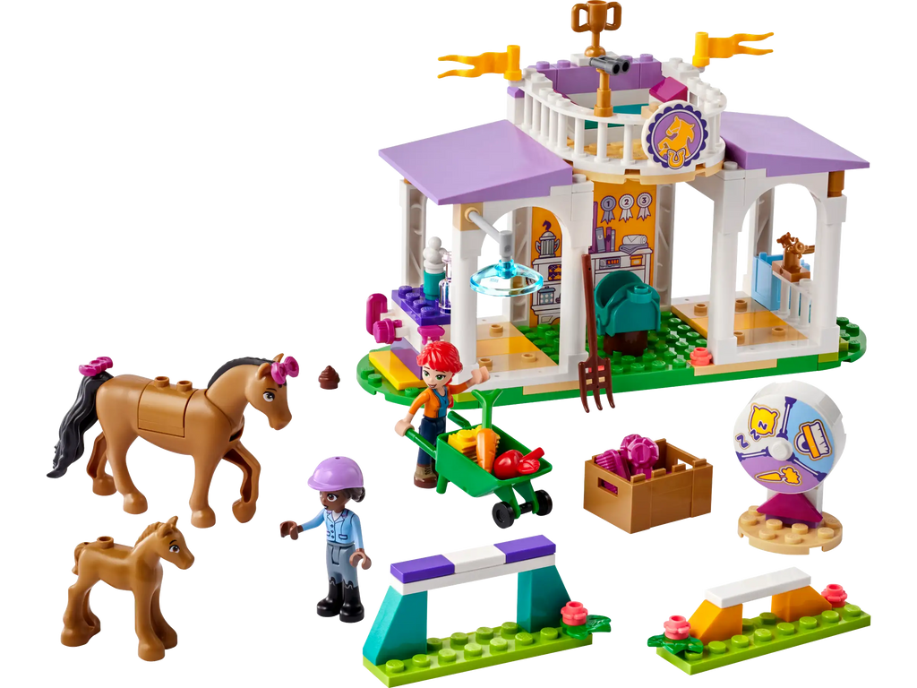 LEGO FRIENDS 41746 Horse Training - TOYBOX Toy Shop