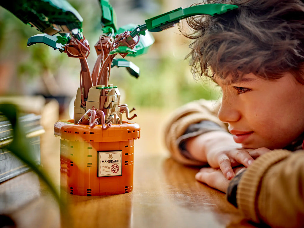 LEGO HARRY POTTER 76433 Mandrake - TOYBOX Toy Shop