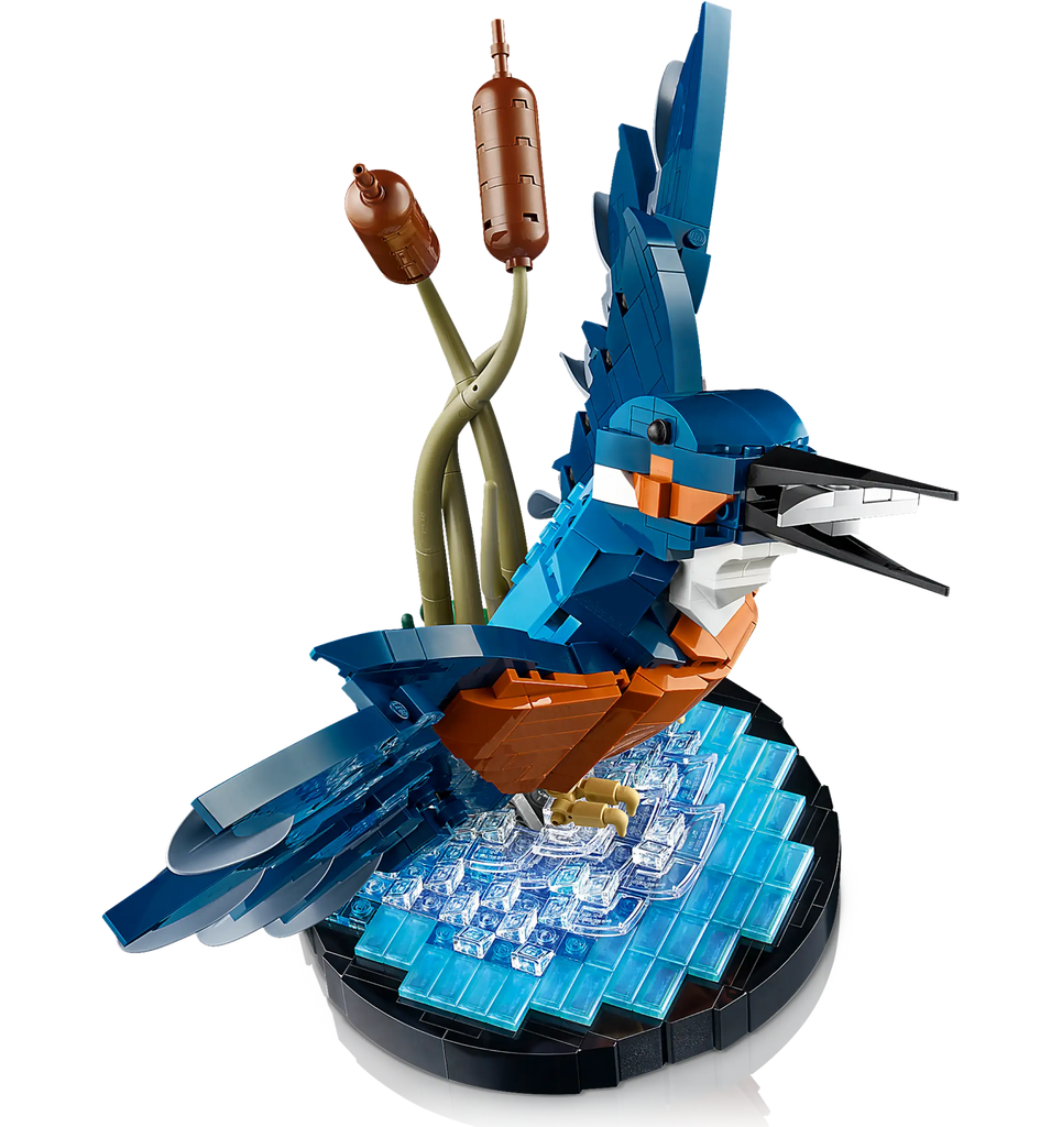 LEGO ICONS 10331 Kingfisher Bird for Adults - TOYBOX Toy Shop