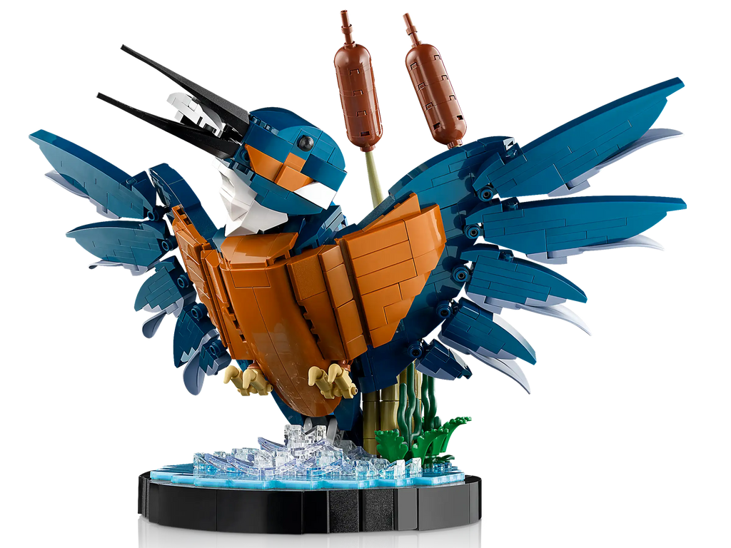LEGO ICONS 10331 Kingfisher Bird for Adults - TOYBOX Toy Shop