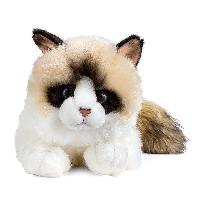LIVING NATURE 24cm Ragdoll Cat Plush - TOYBOX Toy Shop