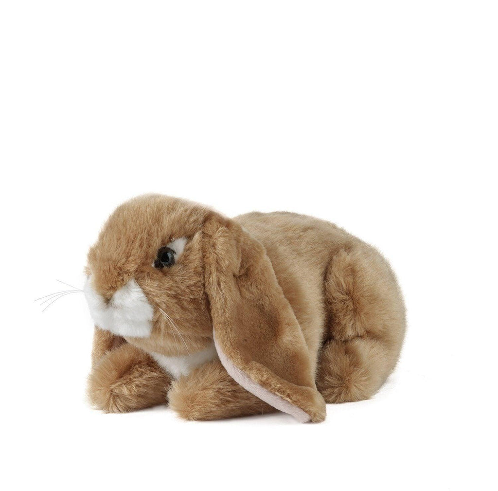 LIVING NATURE AN40 Sitting Lop Eared Rabbit 24cm - Assorted - TOYBOX Toy Shop